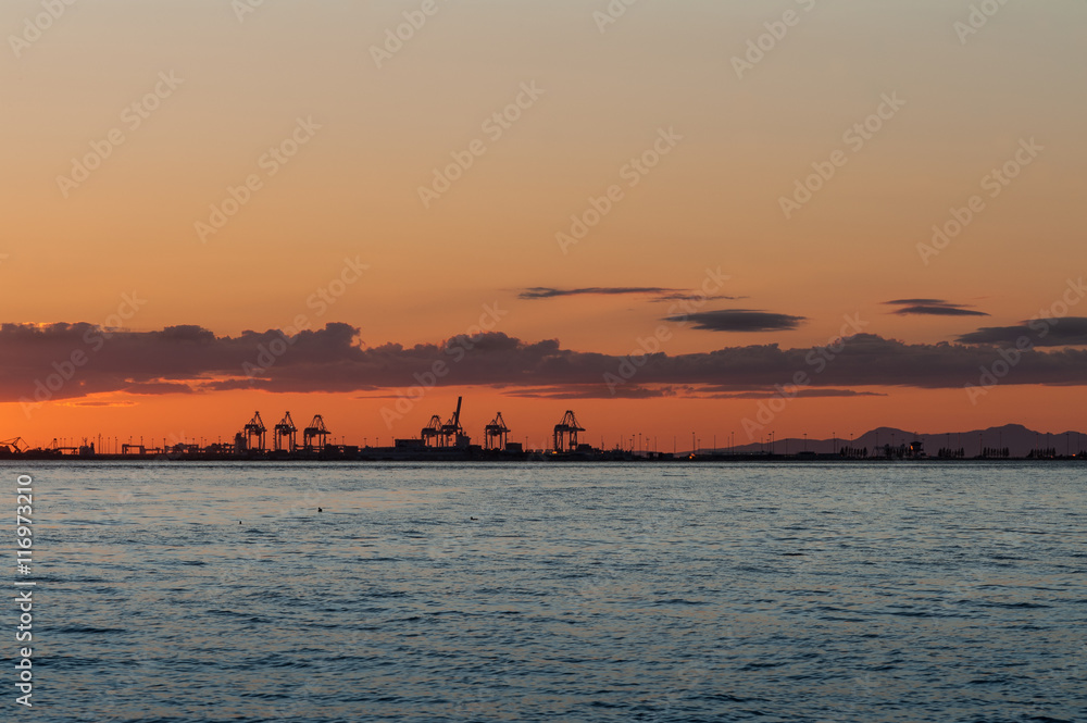 sunset over cranes at dawn, Point Roberts, Washington state
