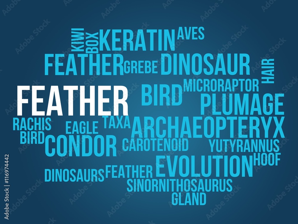 feather feather