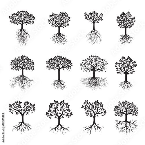 Set Black Tree and Leafs. Vector Illustration.
