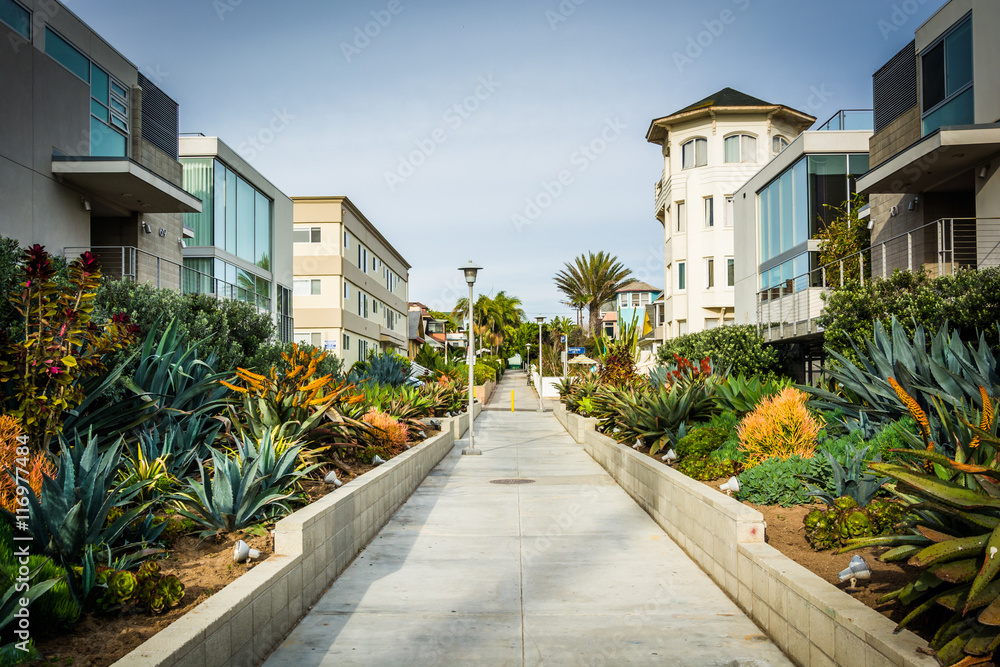 Gardens and buildings along a walkway in Venice Beach, Los Angel
