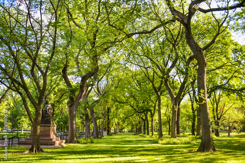 Tree lined park with a statue to the side