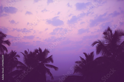 Coconut palm trees at sunrise vintage filter