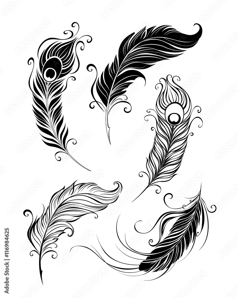 Set of Feathers Set of Feathers