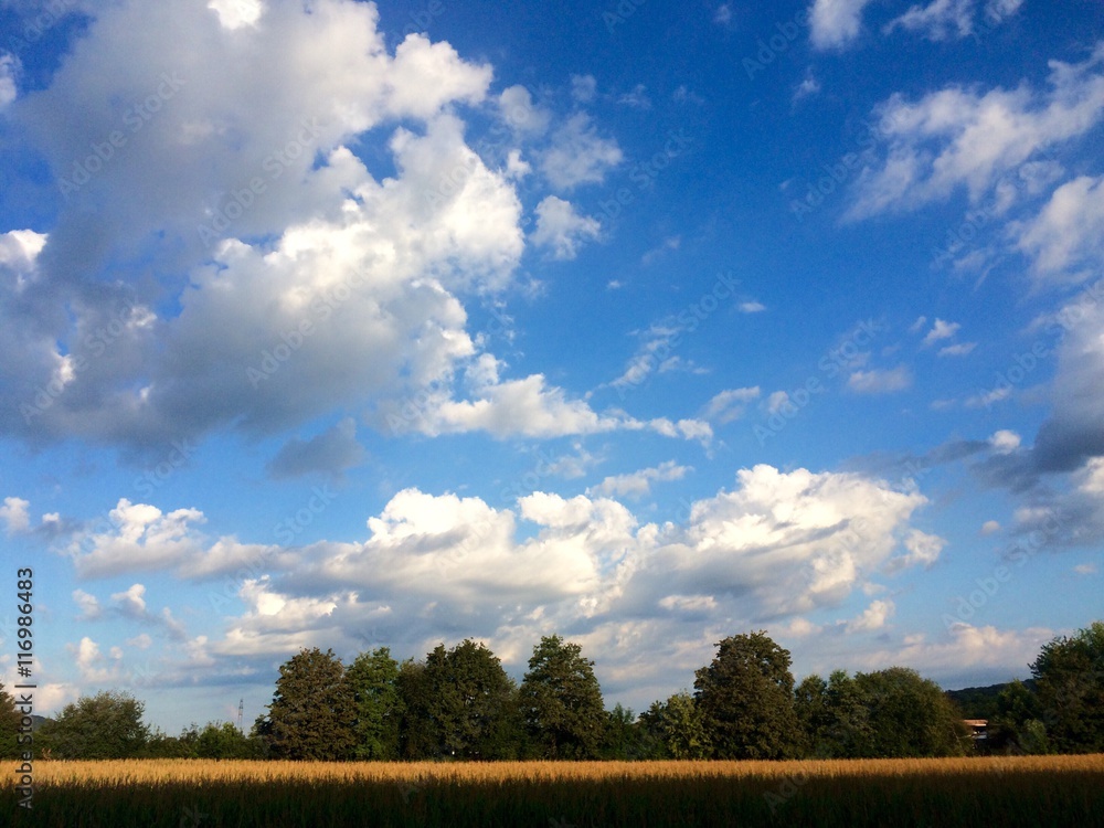 Fototapeta premium Himmel mit Wolken im Sommer 