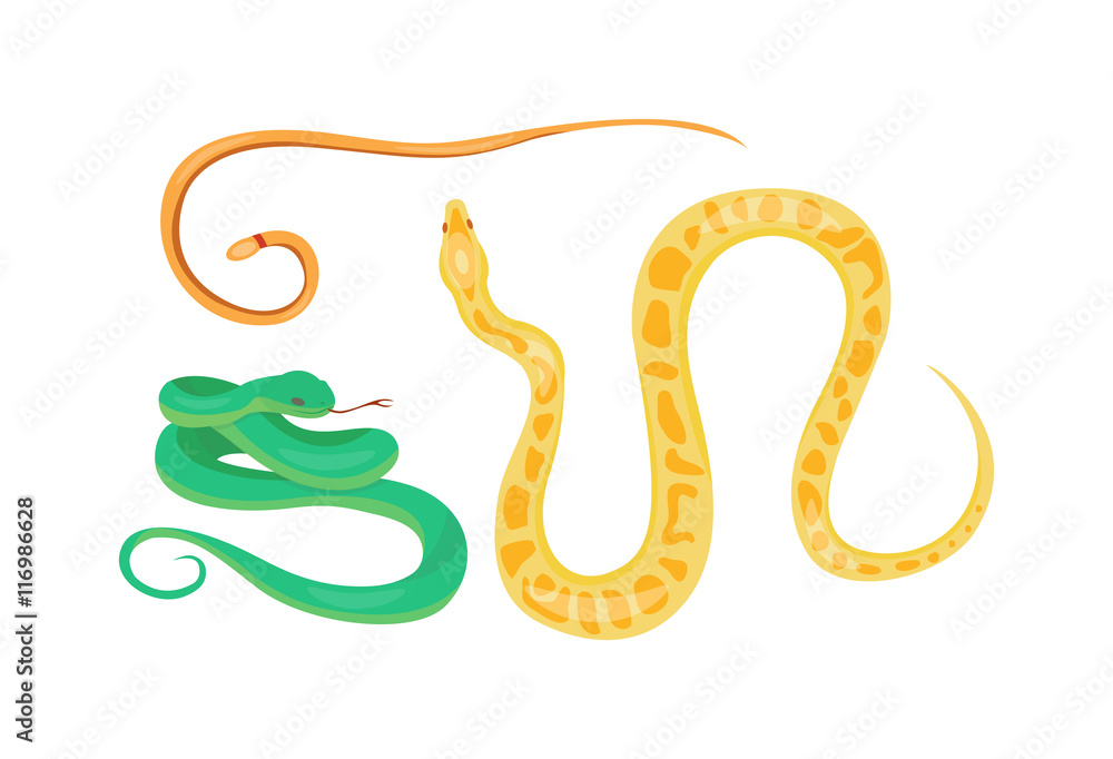 Naklejka premium Wąż gad kreskówka wektor