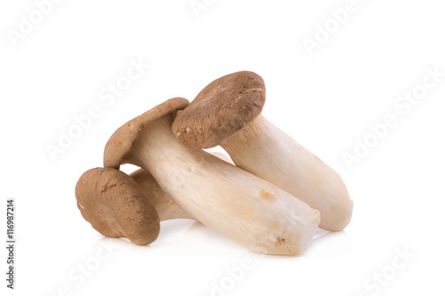 King Oyster mushroom (Eringi) on white backgroud