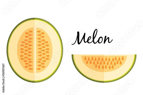 Galia melon in flat design isolated on white background
