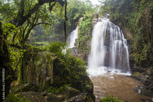 The Horse Shoe waterfall amid lush tropical forest vegetation