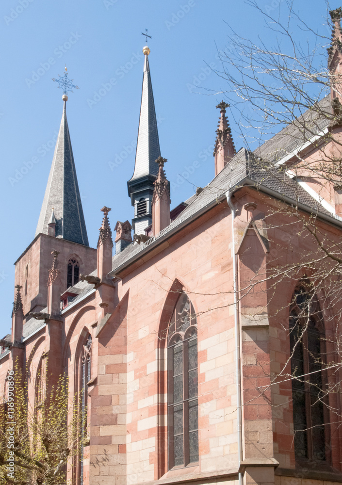 Obraz premium Spiers on the roof of Stiftskirche