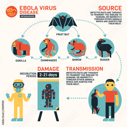 Ebola Symptoms and Signs Infographics