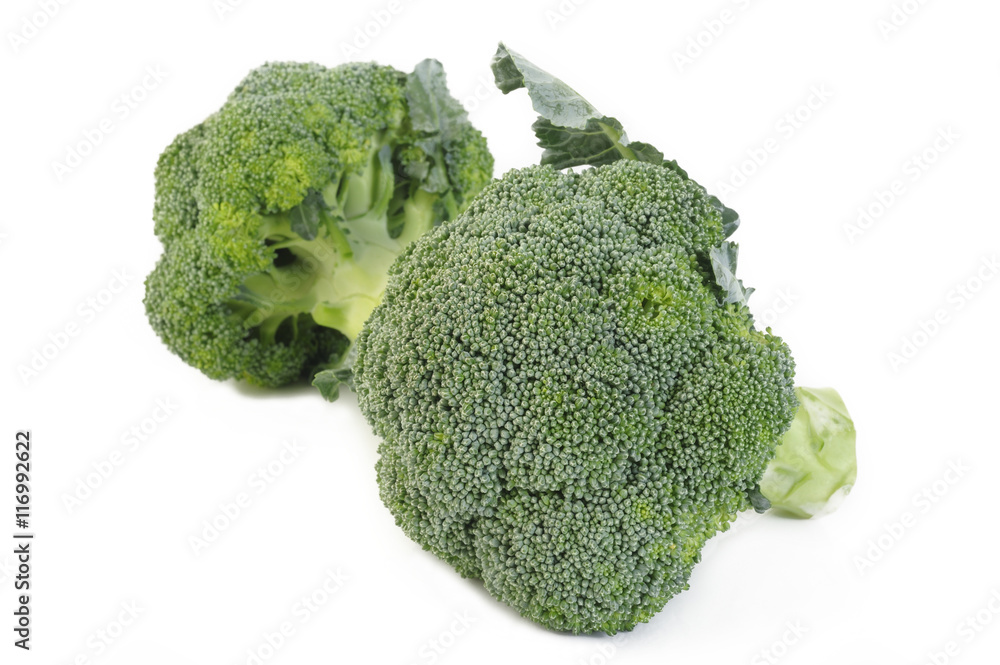 broccoli vegetable on white background broccoli vegetable on white background