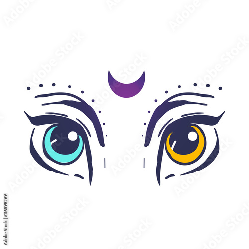 Beautiful card vector