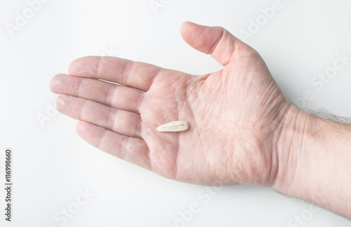 Sunflower seed in a man's hand on white background