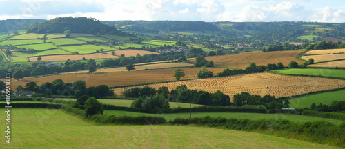 Farmland in East Devon AONB  Area of Outstanding Natural Beauty 