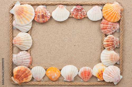 Frame made of rope with seashells on the sand