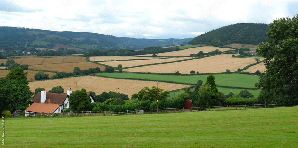 Farmland in East Devon AONB (Area of Outstanding Natural Beauty)