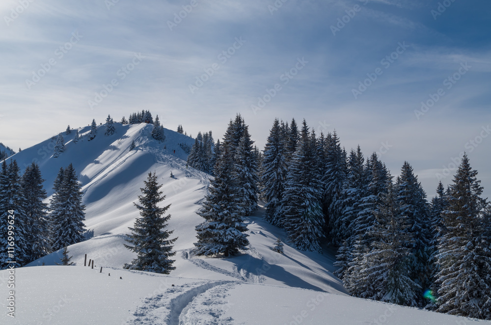 Ski touring track in beautiful sunny winter landscape, Oberstdorf, Germany