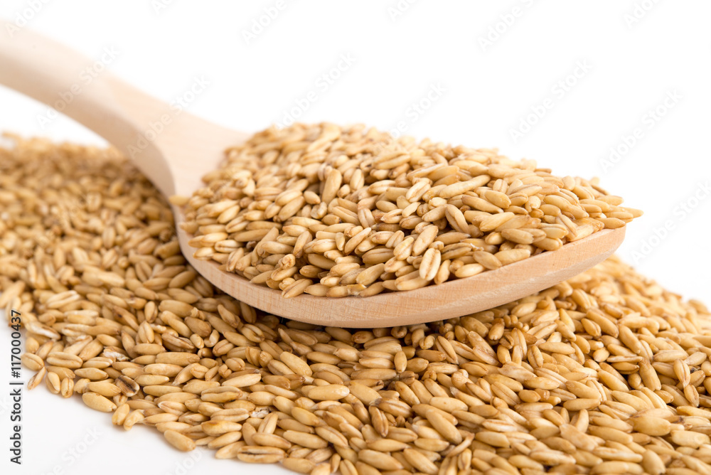 Hafer StockFoto Adobe Stock