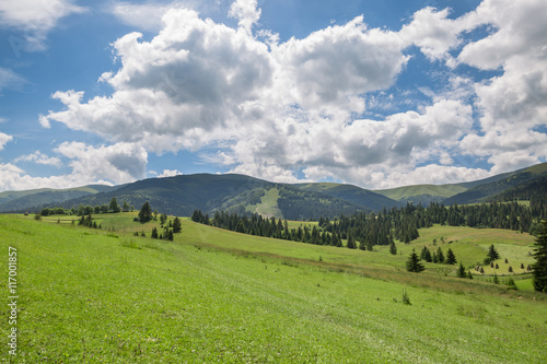 Beautiful nature scenery with green meadow and mountain range