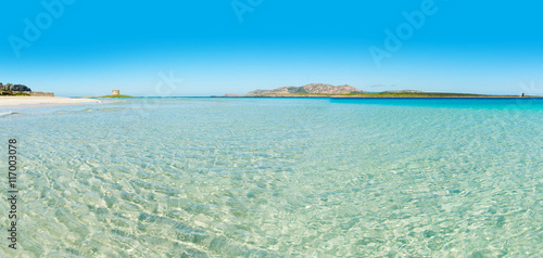Fototapeta Naklejka Na Ścianę i Meble -  panoramic view of La Pelosa beach