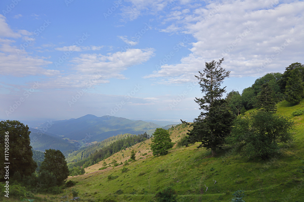 paysage montagneux des Vosges, petit ballon d'Alsace, France