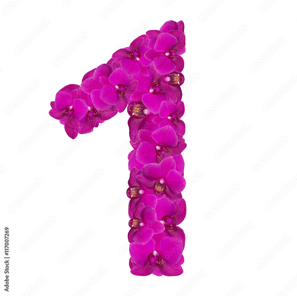 Fototapeta premium Alphabet number nine from orchid flowers isolated on white 