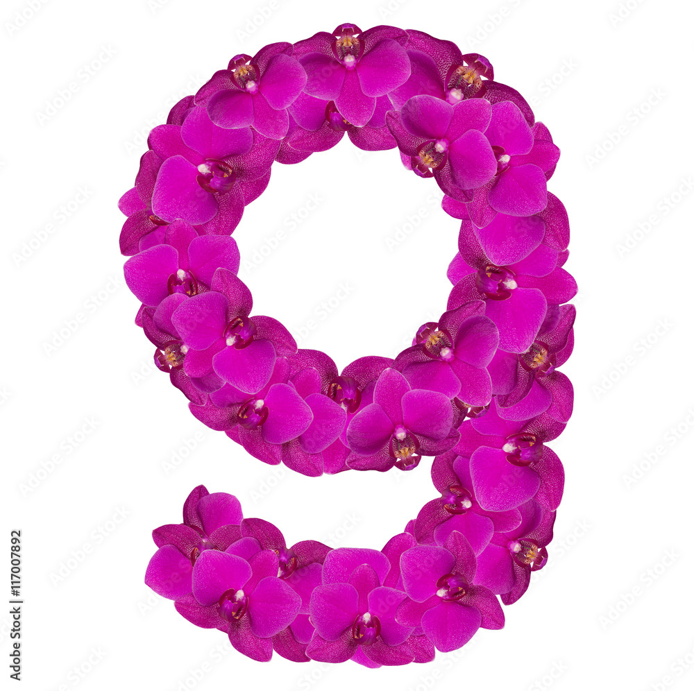 Alphabet number nine from orchid flowers isolated on white
