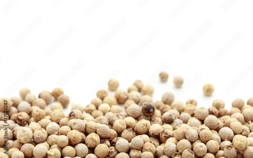 White pepper on white baclground White pepper on white baclground