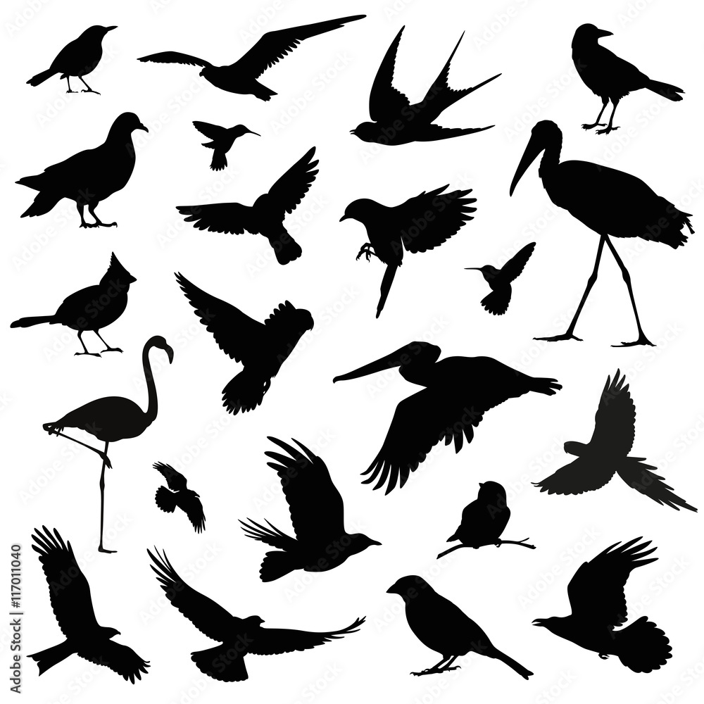 Naklejka premium bird silhouette illustration set