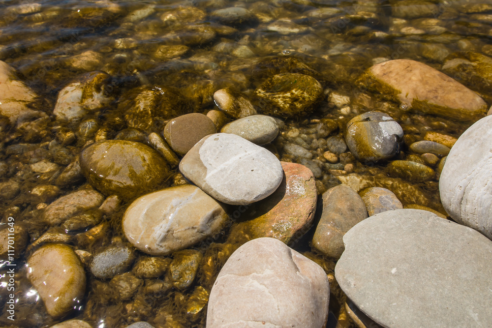 Wasser am Rhein im Sommer am baden