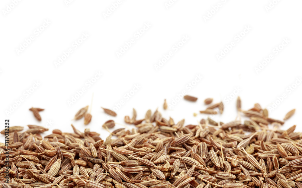 Fototapeta Cumin on white background