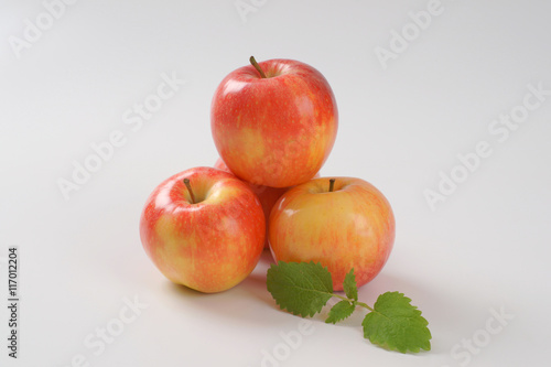 fresh ripe apples