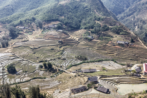 rice terraces around Sapa