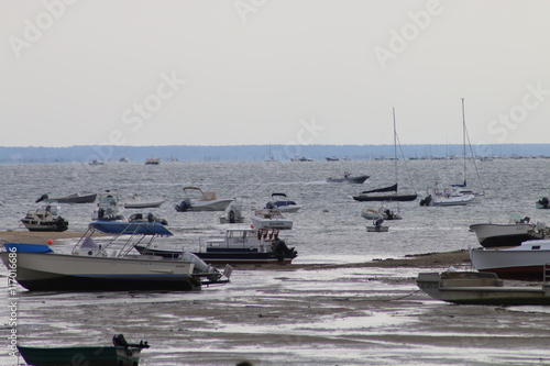 ARCACHON photo