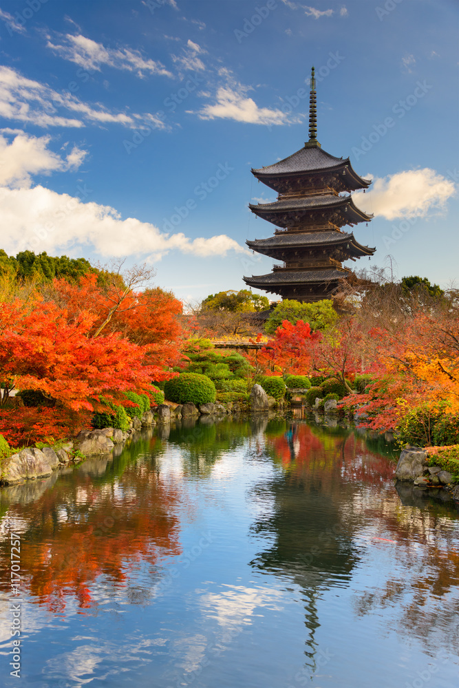 Obraz premium Pagoda Toji w Kioto w Japonii jesienią.