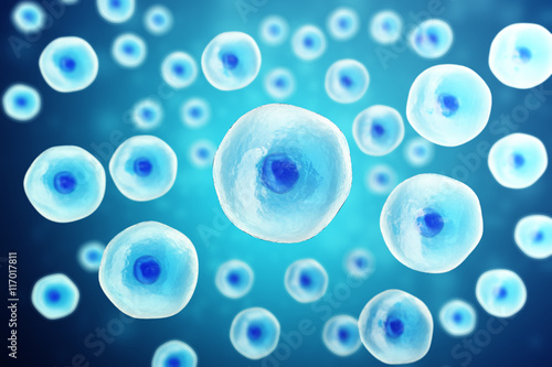 Fotografie Blue cell under microscope