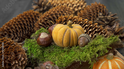 Autumn decoration with pumpkin in the moss  chestnuts  cones and