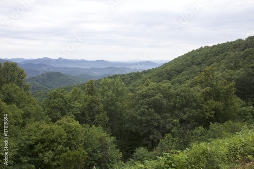 Hill Side Asheville,NC