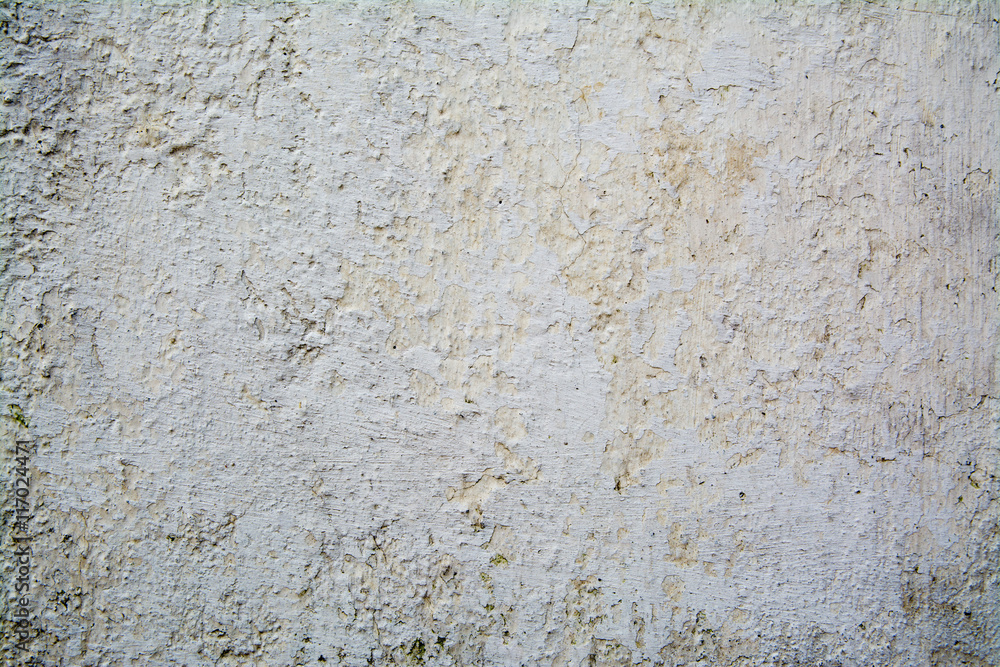 Fototapeta premium gray background texture cement wall