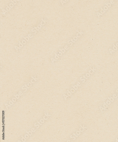 Kraft Paper Texture