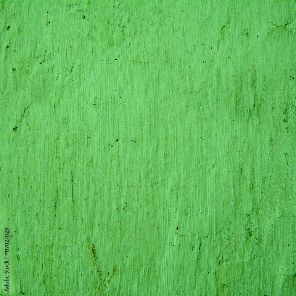 Obraz premium green background texture cement wall