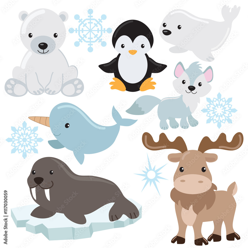 Arctic animal vector illustration Stock Vector | Adobe Stock