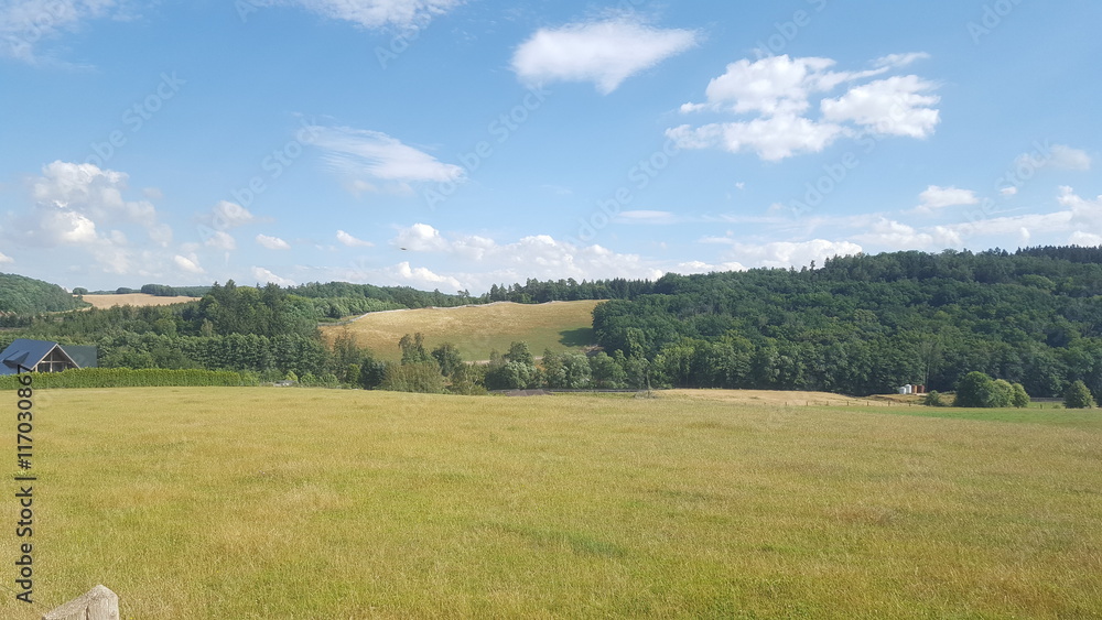 Fototapeta premium Weideland