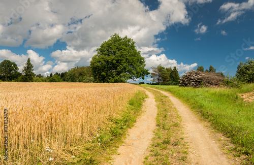Countryside road in summer, Europe
