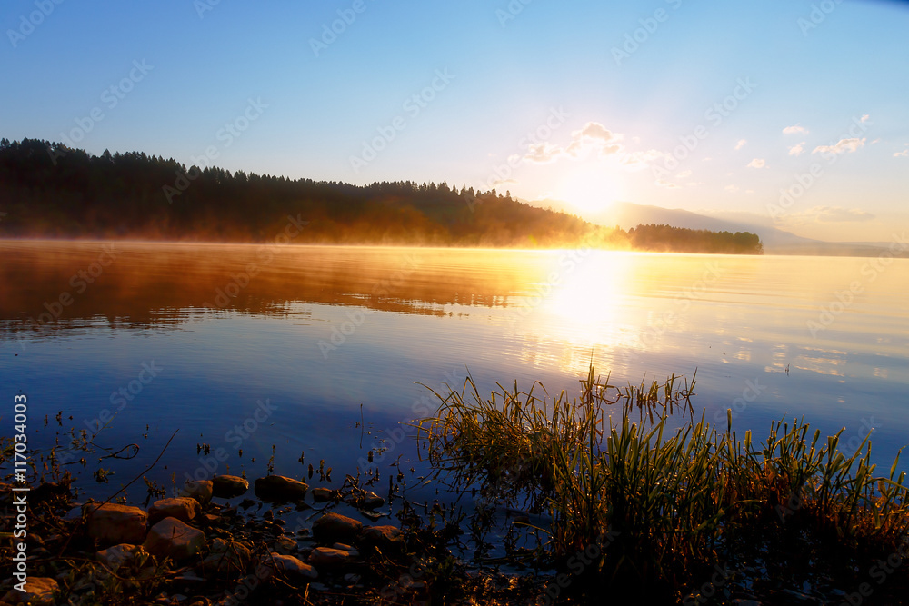 detail of grass halm at a lake in magical morning time with dawning sun.