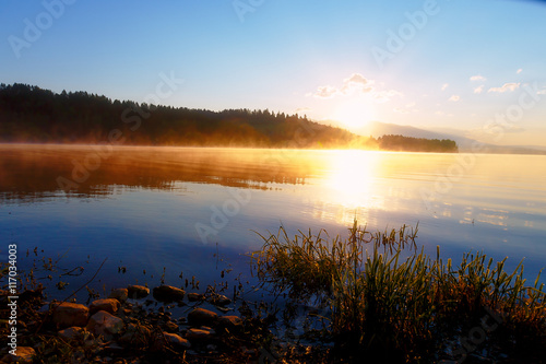 detail of grass halm at a lake in magical morning time with dawning sun.