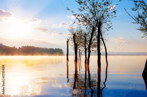 beautiful lake view in morning fog with mystic mountains and trees as leftovers of a mole in gold  purple - blue tones.