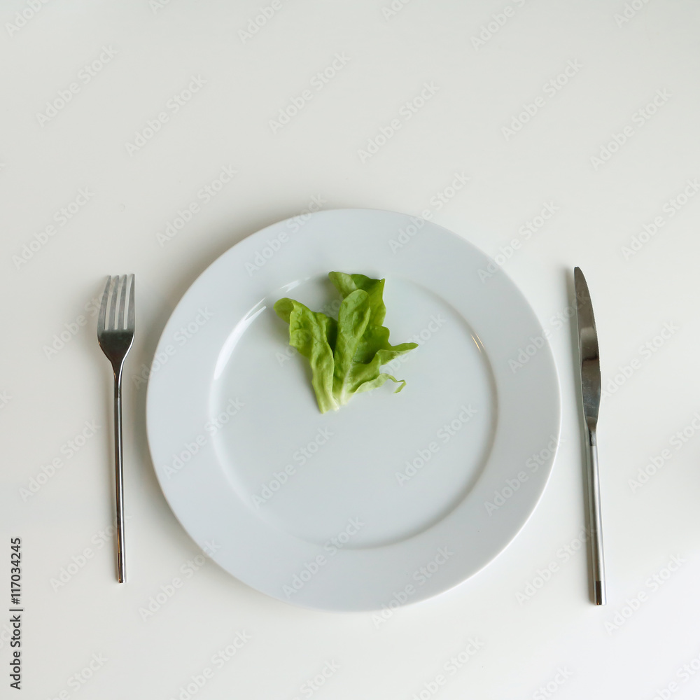Concept of diet and restriction. Single green leaf of salad on a plate. White background. Concept of diet and restriction. Single green leaf of salad on a plate. White background.