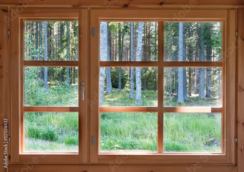 Green sunny view of summer woods in the wooden country window.