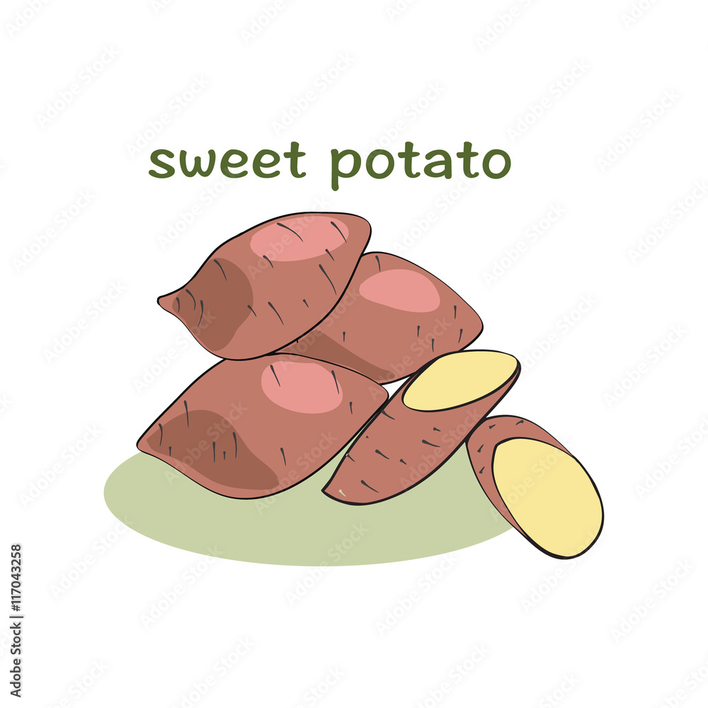 Sweet potatoes isolated on white background Sweet potatoes isolated on white background